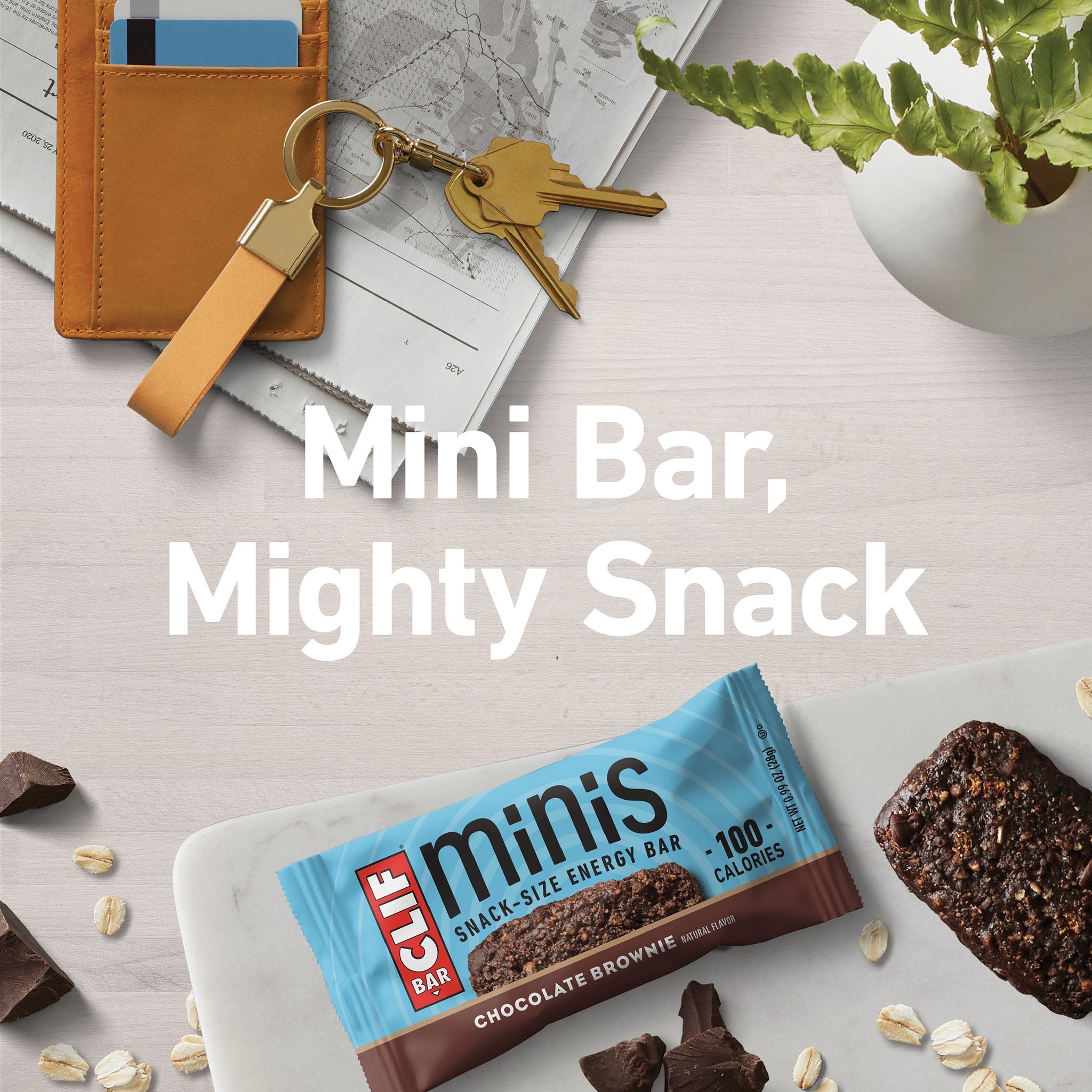 Chocolate Brownie Flavor Minis