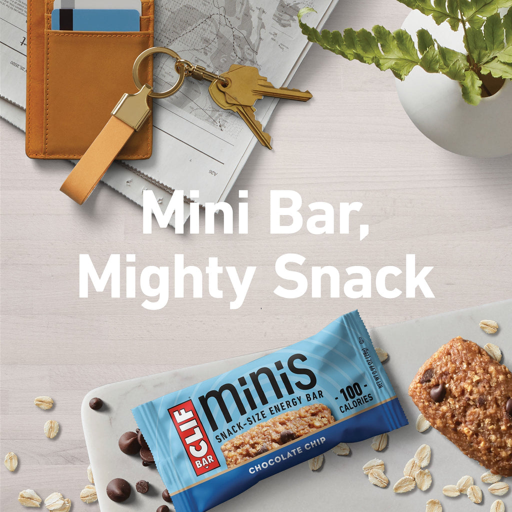 Chocolate Chip Minis