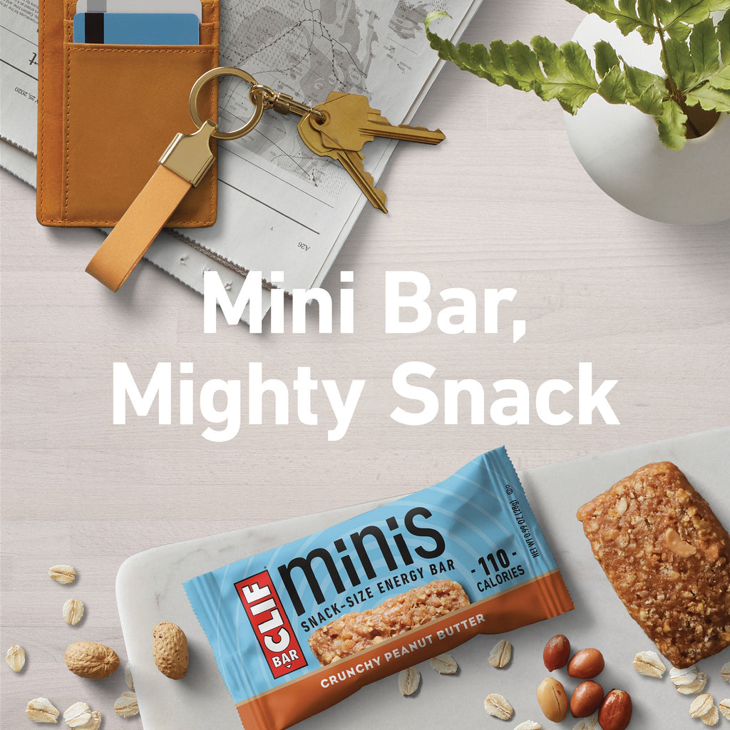 Crunchy Peanut Butter Minis