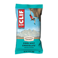 Cool Mint Chocolate